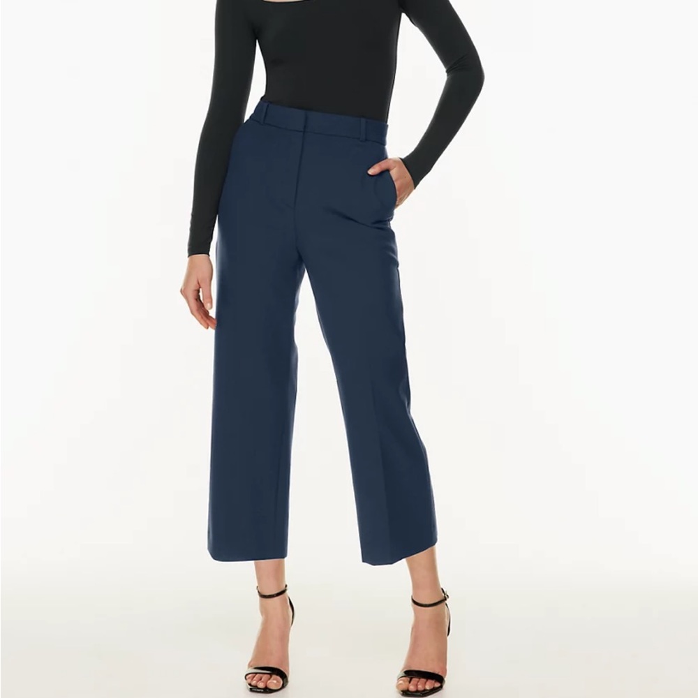 ARITZIA pants